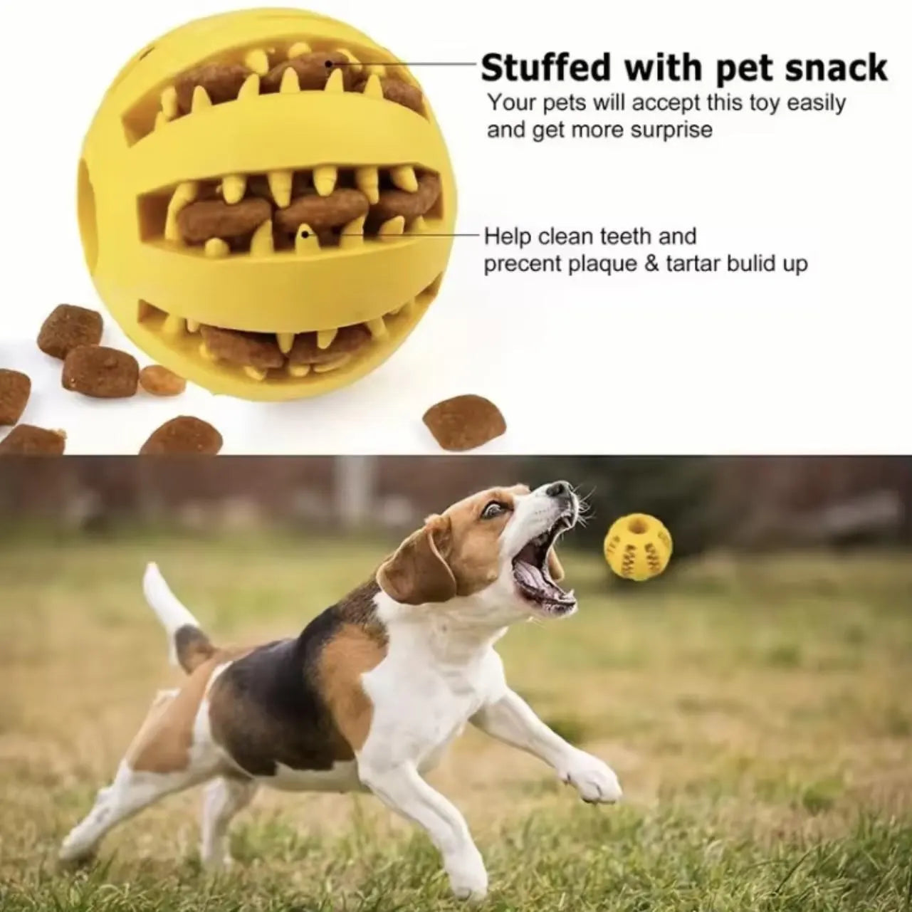 Healthy Teeth Dog Treat Ball – Interactive Dental Chew Toy for Clean Teeth & Happy Dogs