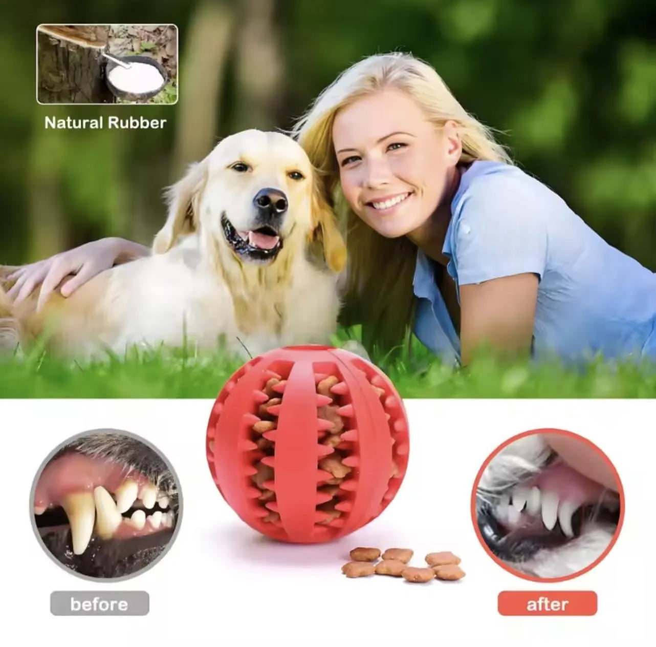 Healthy Teeth Dog Treat Ball – Interactive Dental Chew Toy for Clean Teeth & Happy Dogs