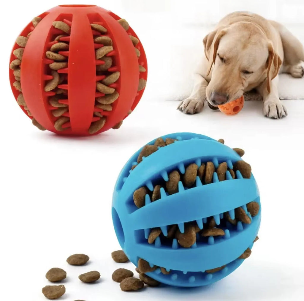 Healthy Teeth Dog Treat Ball – Interactive Dental Chew Toy for Clean Teeth & Happy Dogs